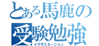 とある馬鹿の受験勉強（イグザミネーション）