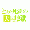 とある死後の天国地獄（アフターライフ）