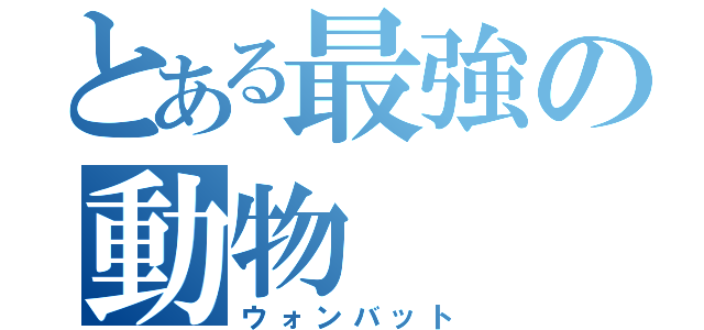 とある最強の動物（ウォンバット）