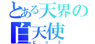 とある天界の白天使（ピット）