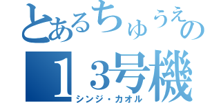 とあるちゅうえいのの１３号機（シンジ・カオル）