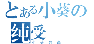 とある小葵の纯受（小受最高）