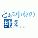 とある小葵の纯受（小受最高）