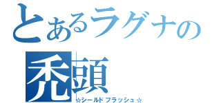 とあるラグナの禿頭（☆シールドフラッシュ☆）