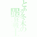 とある冬木の最狂戦士（バーサーカー）