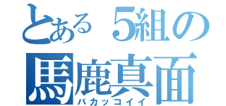 とある５組の馬鹿真面目（バカッコイイ）