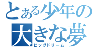 とある少年の大きな夢（ビッグドリーム）