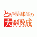 とある排球部の大器晩成（日向翔陽）