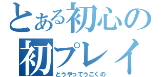 とある初心の初プレイ（どうやってうごくの）