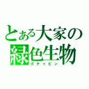 とある大家の緑色生物（ガチャピン）