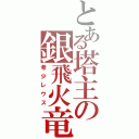 とある塔主の銀飛火竜（希少レウス）