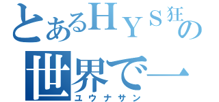 とあるＨＹＳ狂の世界で一番悪魔様（ユウナサン）