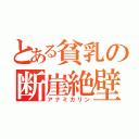 とある貧乳の断崖絶壁（アナミカリン）