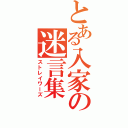 とある入家の迷言集Ⅱ（ストレイワーズ）