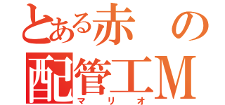 とある赤の配管工Ｍ（マリオ）