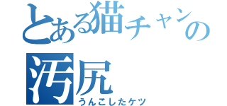 とある猫チャンの汚尻（うんこしたケツ）