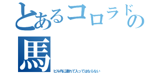 とあるコロラドの馬（ビル内に連れて入ってはならない）