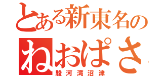 とある新東名のねおぱさ（駿河湾沼津）