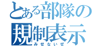 とある部隊の規制表示（みせないぜ）