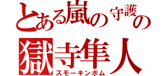 とある嵐の守護者の獄寺隼人（スモーキンボム）