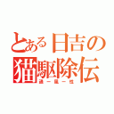 とある日吉の猫駆除伝（通ー風ー性）