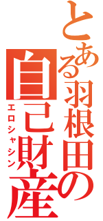 とある羽根田の自己財産（エロシャシン）