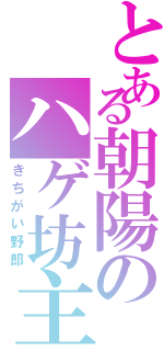 とある朝陽のハゲ坊主（きちがい野郎）