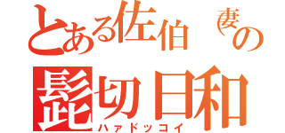 とある佐伯（妻）の髭切日和（ハァドッコイ）