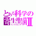 とある科学の寄生聖菌Ⅱ（インフルエンザ）