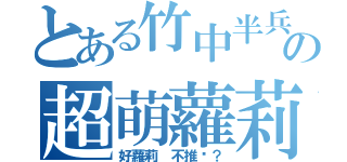 とある竹中半兵衛の超萌蘿莉（好蘿莉 不推嗎？）