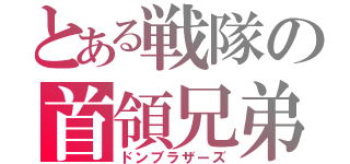 とある戦隊の首領兄弟（ドンブラザーズ）