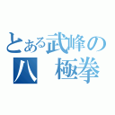 とある武峰の八 極拳（）