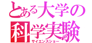 とある大学の科学実験（サイエンスショー）