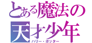 とある魔法の天才少年（ハリー・ポッター）