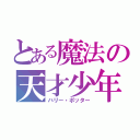 とある魔法の天才少年（ハリー・ポッター）