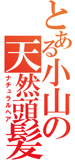 とある小山の天然頭髪（ナチュラルヘア）