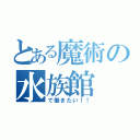 とある魔術の水族館（で働きたい！！）