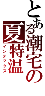 とある潮宅の夏特温（インデックス）