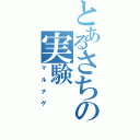 とあるさちの実験（マルナゲ）