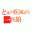 とある疾風の一匹狼（アミ）