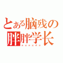 とある脑残の胖胖学长（穿 越 穿 越 嘿 咻）