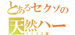 とあるセクゾの天然ハーフ（マリウス葉）