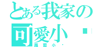 とある我家の可愛小貓（蘿蔔小貓）