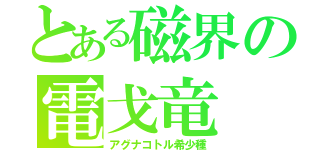 とある磁界の電戈竜（アグナコトル希少種）