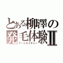 とある柳澤の発毛体験Ⅱ（アートネイチャー）