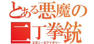 とある悪魔の二丁拳銃（エボニー＆アイボリー）