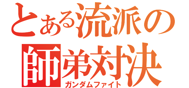 とある流派の師弟対決（ガンダムファイト）