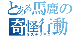 とある馬鹿の奇怪行動（ミステリアス）