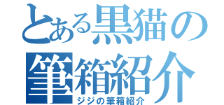 とある黒猫の筆箱紹介（ジジの筆箱紹介）