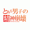 とある男子の精神崩壊（キチガイになる）